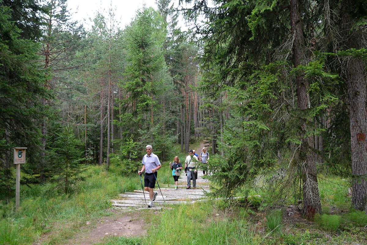 Steinmannhof 28.08.2017